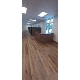 Album: Garrett Pillsbury  2026